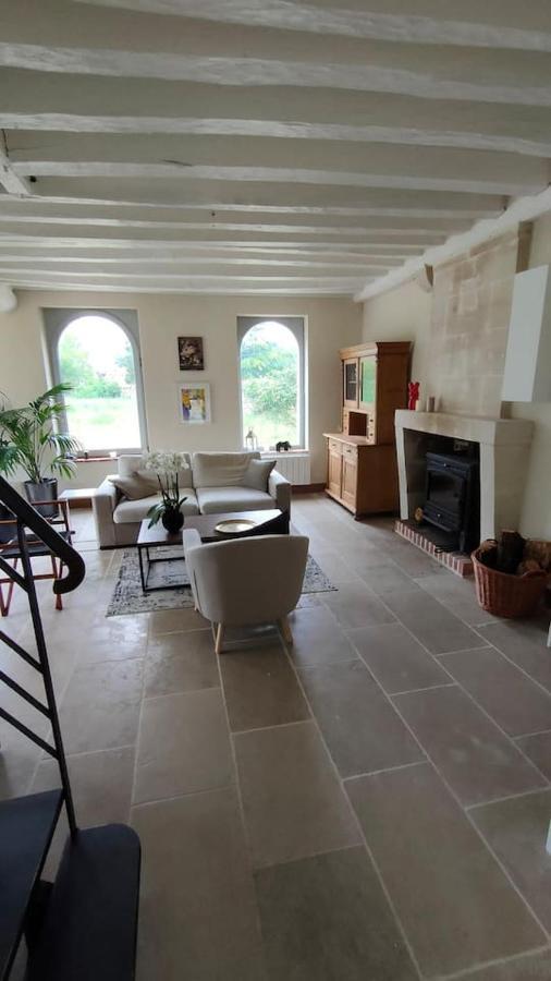 Villa Chateau Des Nouies à Selles-sur-Cher Extérieur photo